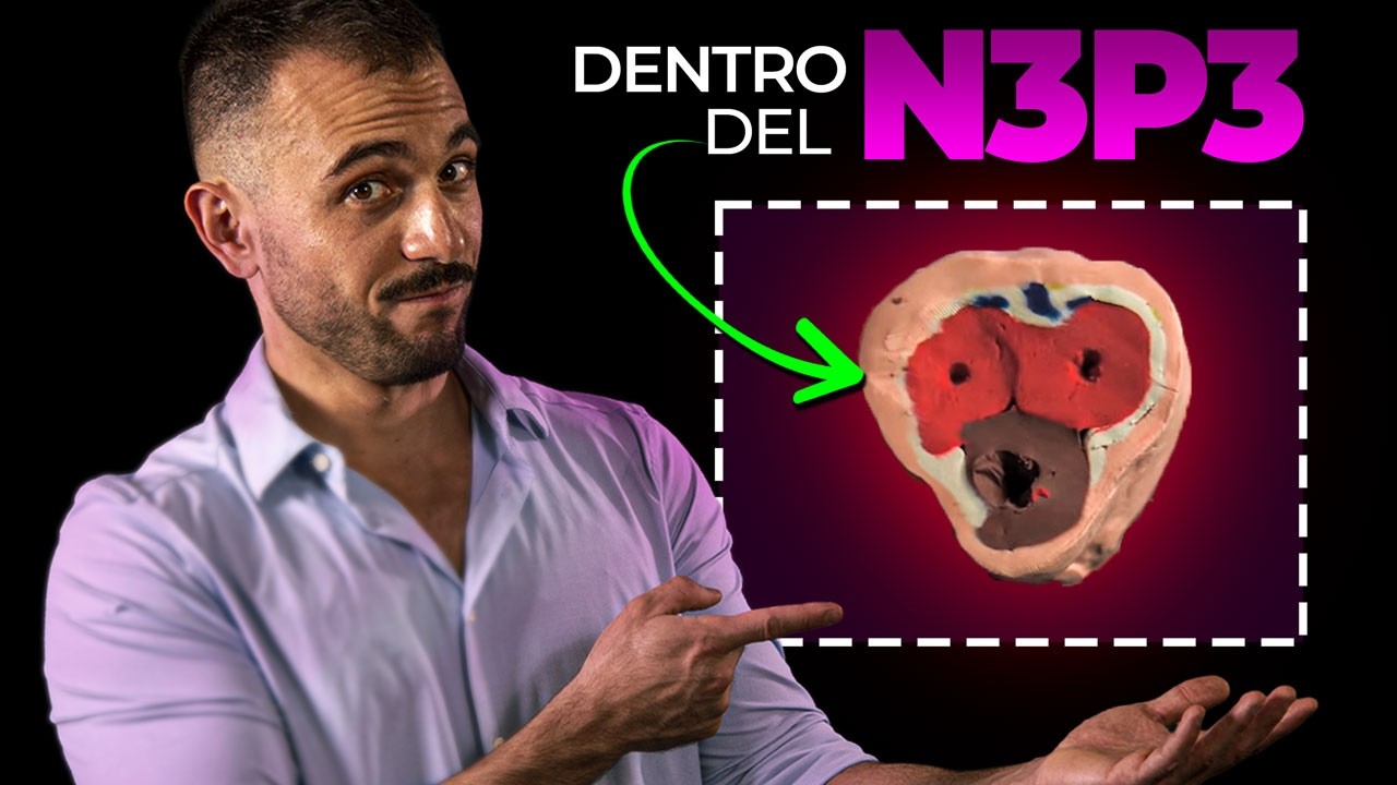 Anatomía del pene: guía completa