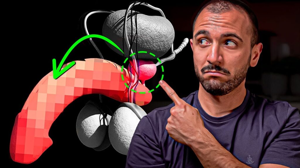 Cirugía de próstata y erección: qué esperar