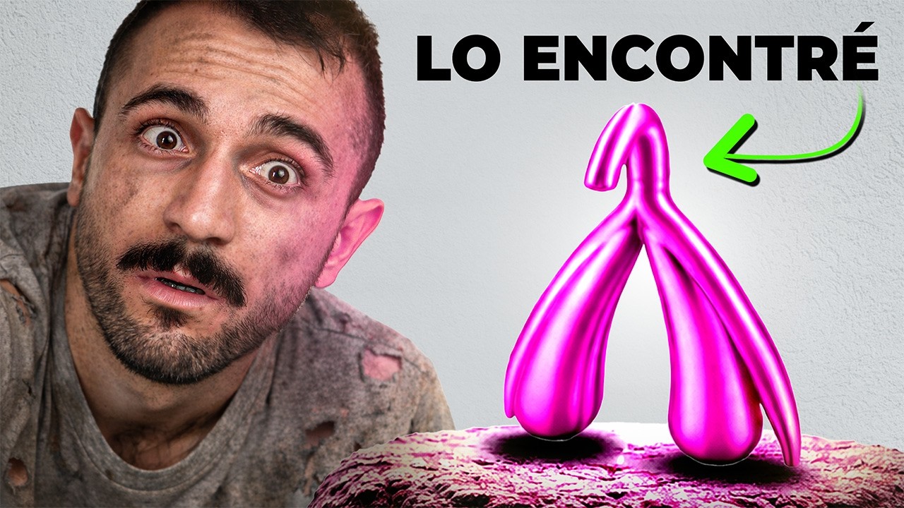 Dónde Está el Clítoris: Anatomía Real Explicada por un Urólogo